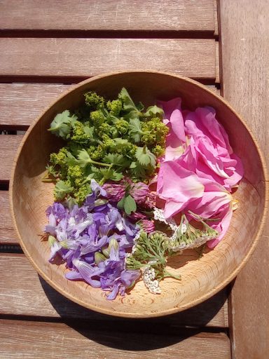 Eine Holzschale mit bunten Blütenblättern und frischen Kräutern.